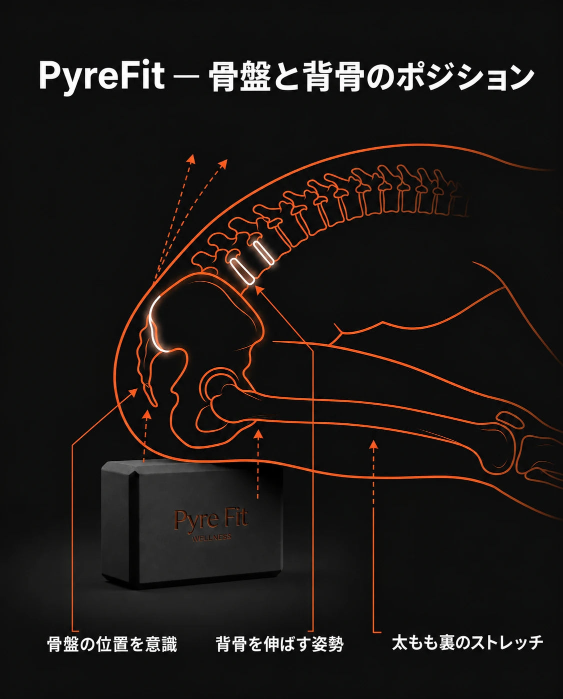 腰と背骨の位置を支える設計 & サポート