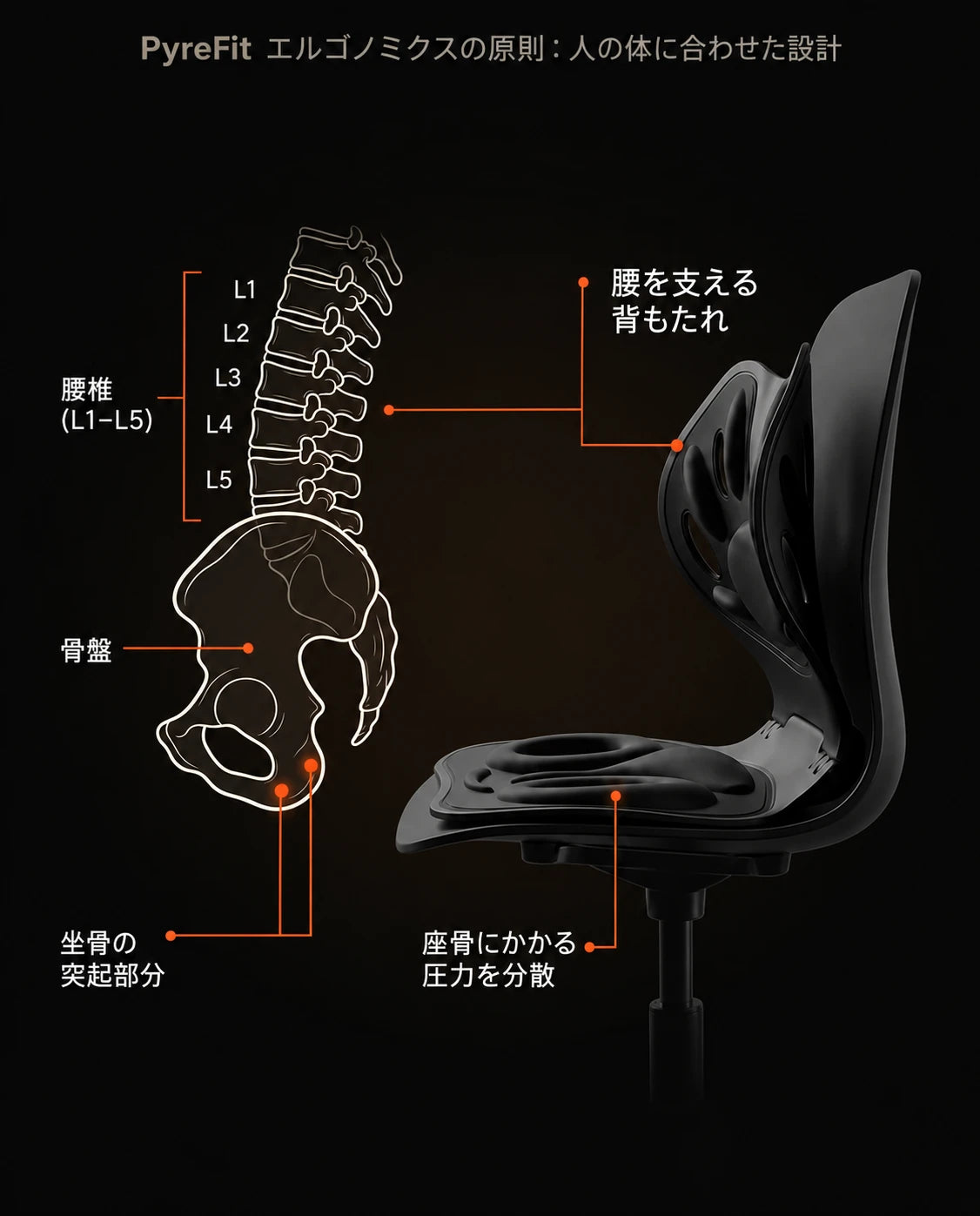 背もたれ付き整形外科用シートクッション—姿勢を整え、尾骨への負担を軽減、商品画像11